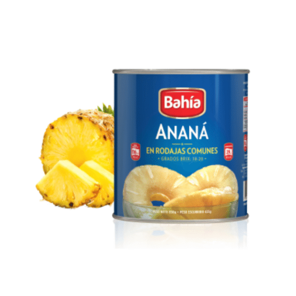 ANANA EN RODAJAS 24X565