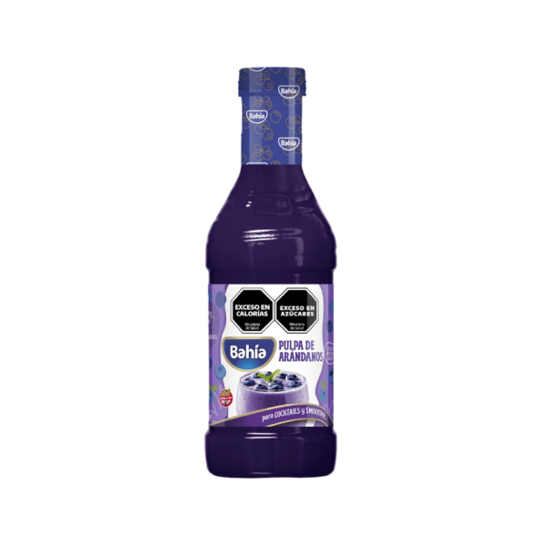 PULPA DE ARANDANOS BAHIA 12X800 BOTELLA